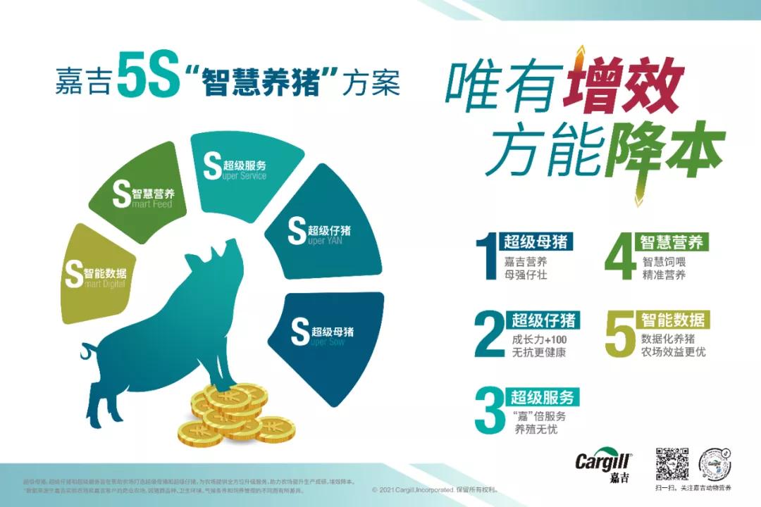 树立创新氛围，把握创新方向，嘉吉谈创新始终聚焦客户价值