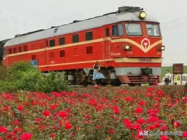 吵架情侣逼停火车!在铁道边做这些事儿,可能坐牢丢命!