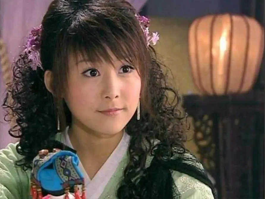 贾青 演艺生涯 跌宕起伏_天龙八部贾青洗澡