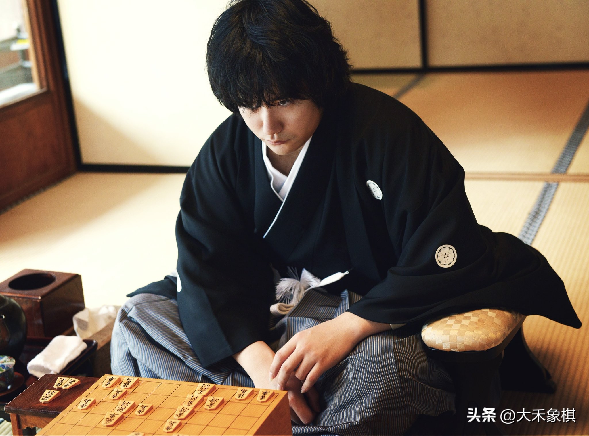 西洋跳棋玩法_日本将棋介绍_不常见棋类游戏