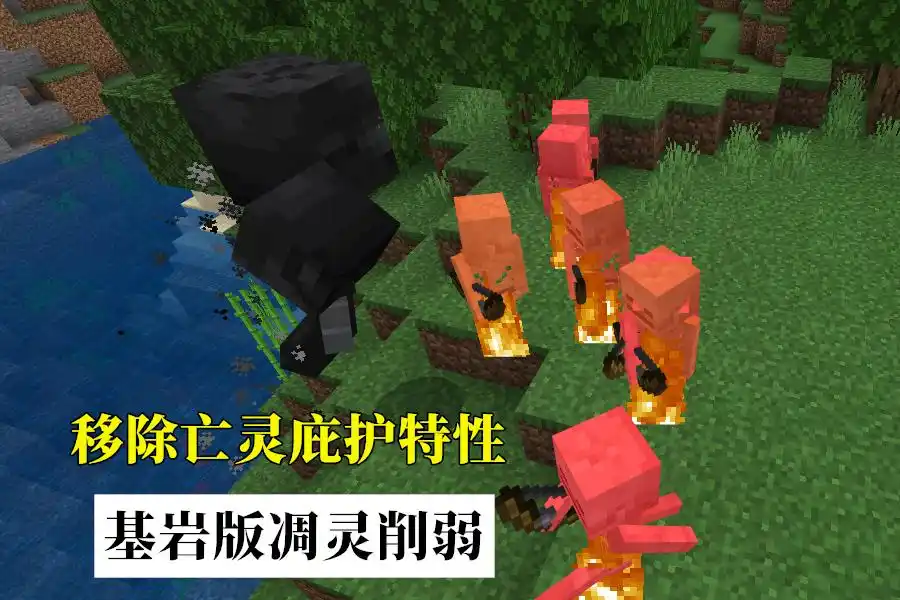 凋灵名字起源_凋灵骷髅_凋灵召唤机制区别