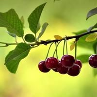 垃圾箱bug穿墙bug卡墙bug教程_穿越火线手游躲猫猫模式卡bug技巧_穿越火线手游滑步bug