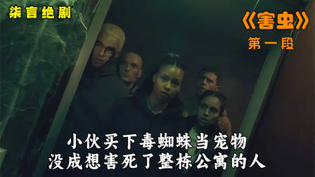 小伙养毒蜘蛛当宠物，却害死了整栋公寓的人！——《害虫》-1