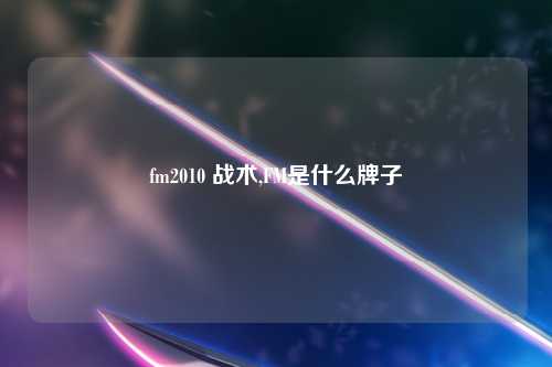 fm2010 战术,FM是什么牌子