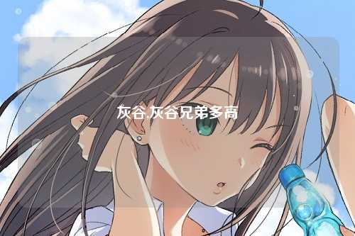 灰谷,灰谷兄弟多高