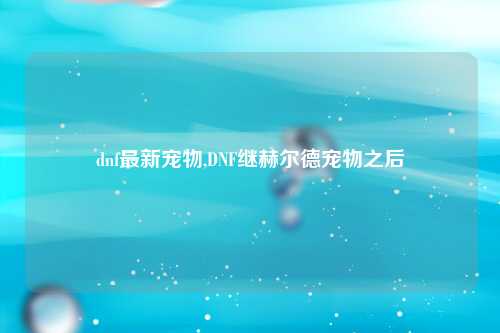 dnf最新宠物,DNF继赫尔德宠物之后