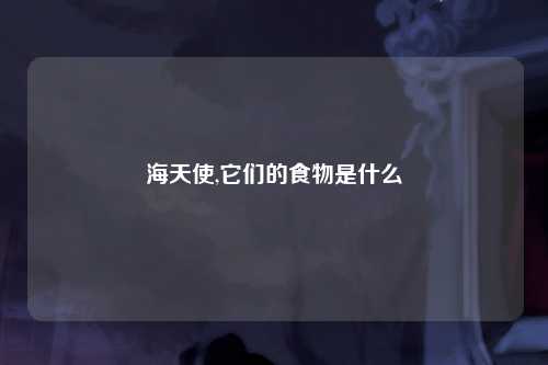 海天使,它们的食物是什么