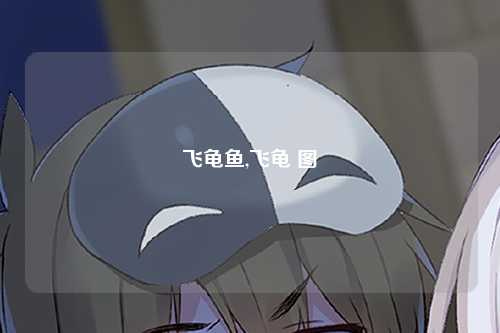 飞龟鱼,飞龟 图