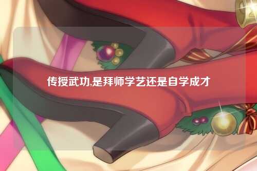 传授武功,是拜师学艺还是自学成才