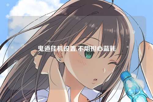 鬼道挂机设置,不用担心蓝耗
