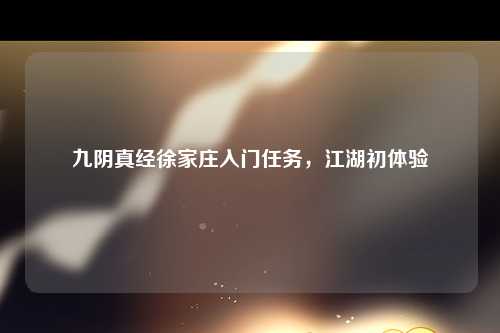 九阴真经徐家庄入门任务，江湖初体验