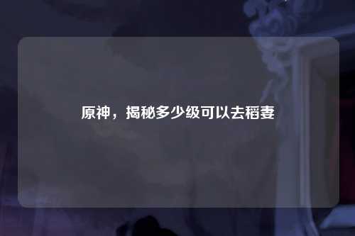 原神，揭秘多少级可以去稻妻
